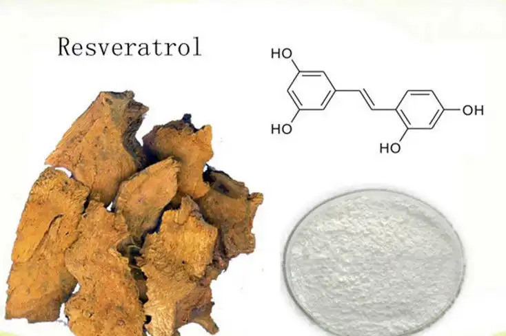 What is Resveratrol – Health Benefits, Best Sources & More